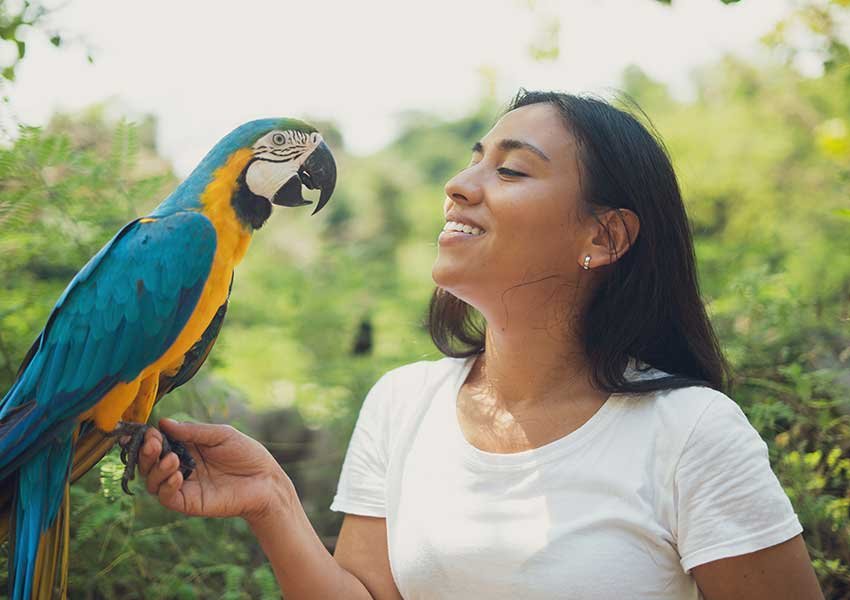 Estilo de vida ecológico e saudável